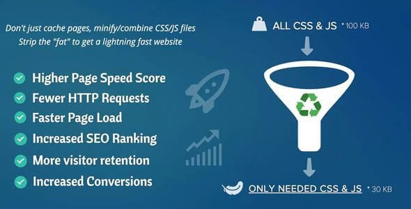 Premium Asset Clean-Up for WordPress Performance
