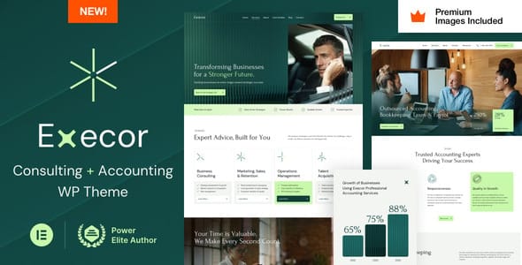 Execor- Accounting and Management Consulting WordPress Theme