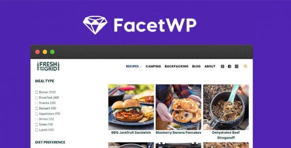 FacetWP – Advanced Filtering for WordPress + Addons