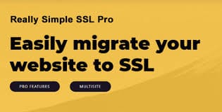 Really Simple SSL Pro